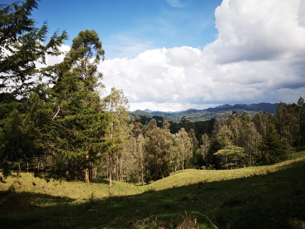 Venta de Lote Independiente en El Retiro