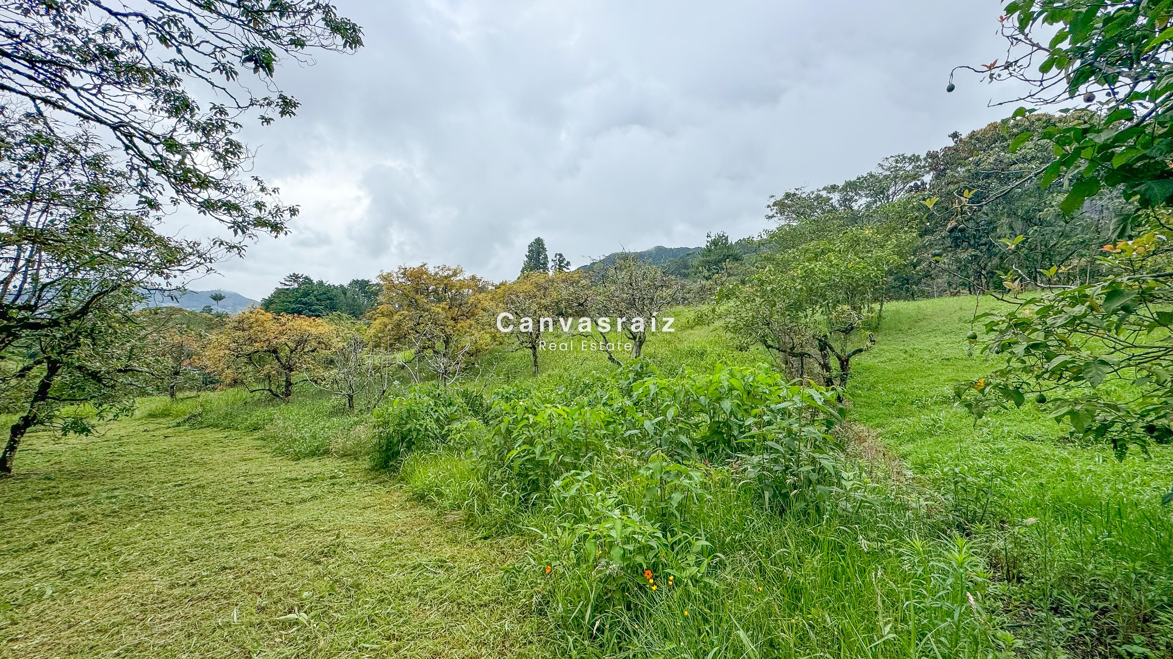 Venta de Lote en Parcelación Vía San Antonio - La Ceja