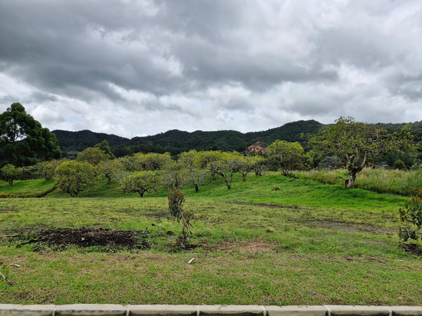 LOTE EN PARCELACIÓN VÍA SAN ANTONIO LA CEJA