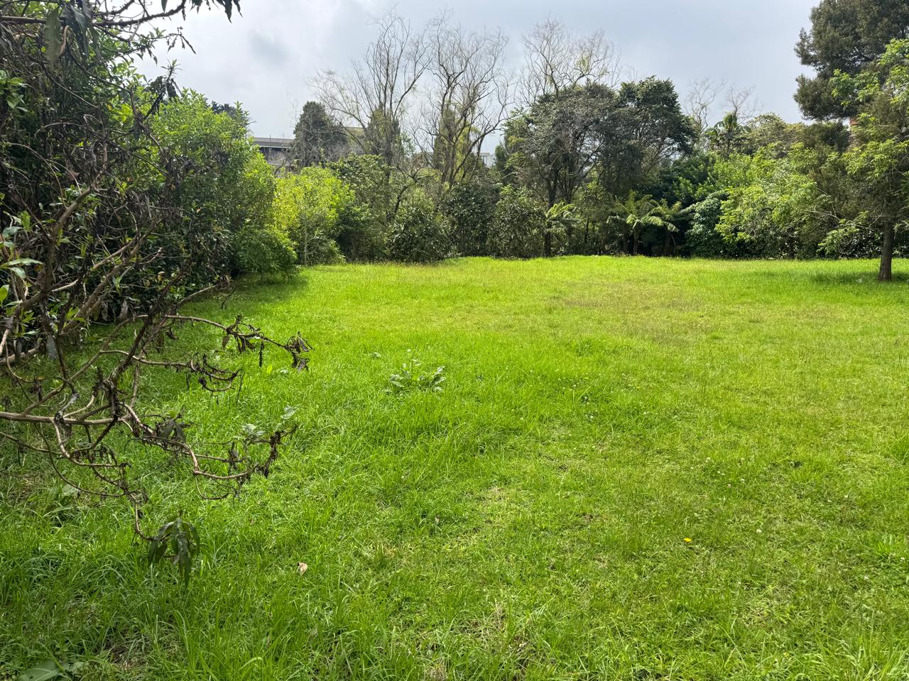 Lote en Parcelación Alto de Palmas Sector La Acuarela 