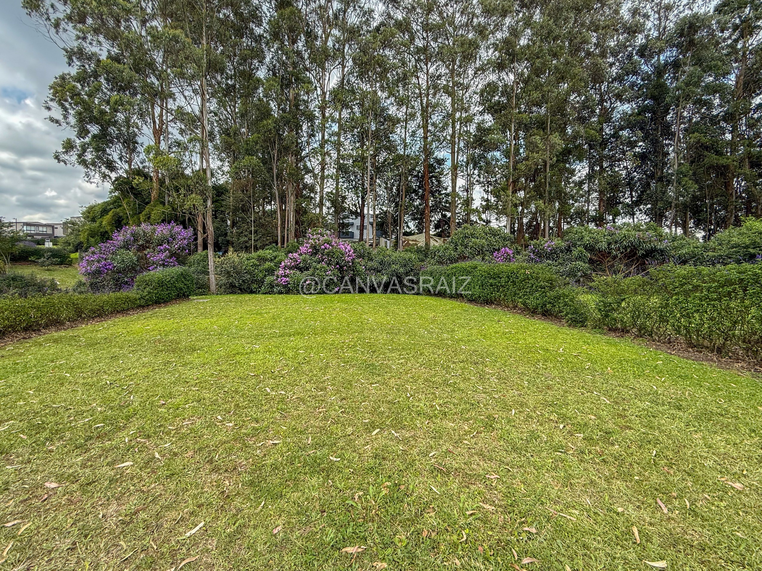 Lote urbano en condominio campestre ubicado en Llanogrande