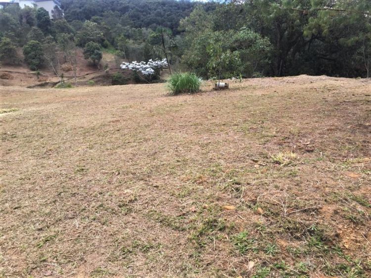 Lote en Unidad Cerrada El Retiro - Imagen 2