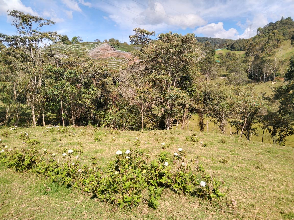 Lote Vereda Pantanillo El Retiro - Imagen 2