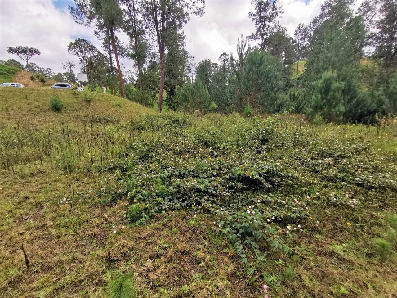 Venta Lote en Parcelación El Retiro - Imagen 2