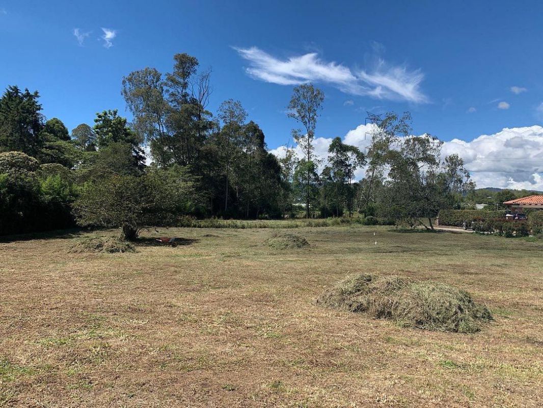 Lote Unidad Cerrada Llanogrande - Imagen 2