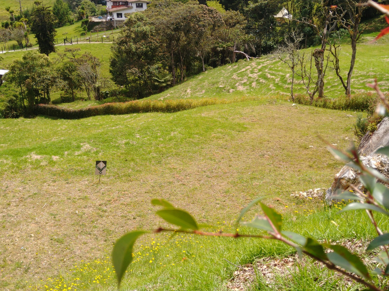 Lote en parcelación Envigado Alto Palmas - Imagen 2