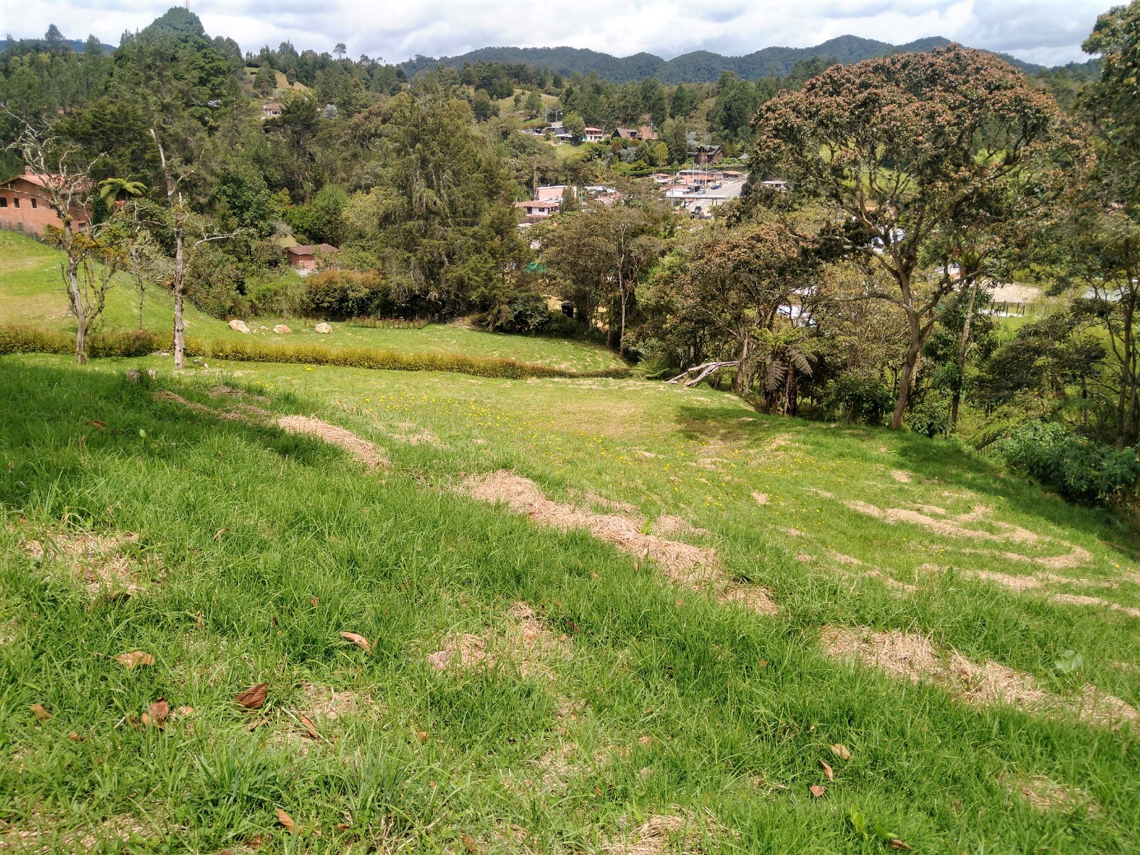 Venta de Lote vía Las Palmas - La Fe - Imagen 2