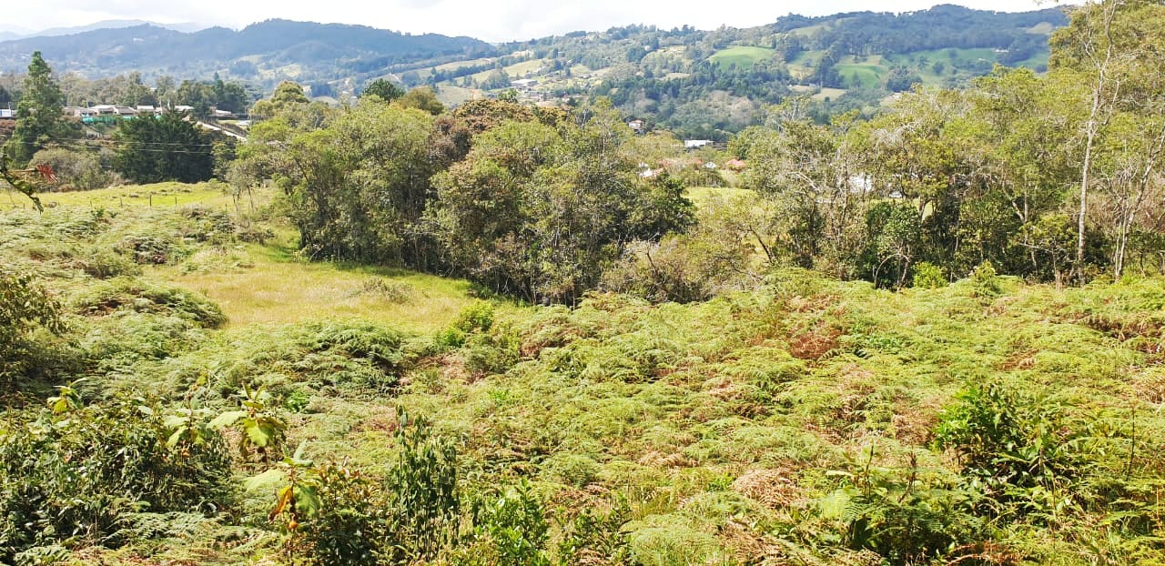Lote Vereda Pantanillo Envigado - Imagen 2