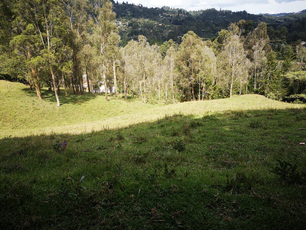 Venta de Lote Independiente en El Retiro - Imagen 2