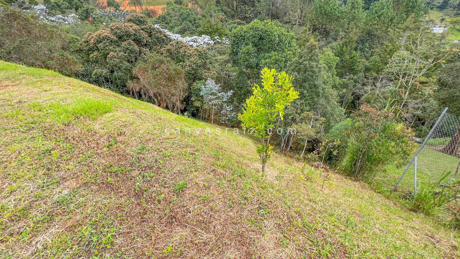 Venta de Lote en Condominio Guarne - Imagen 2