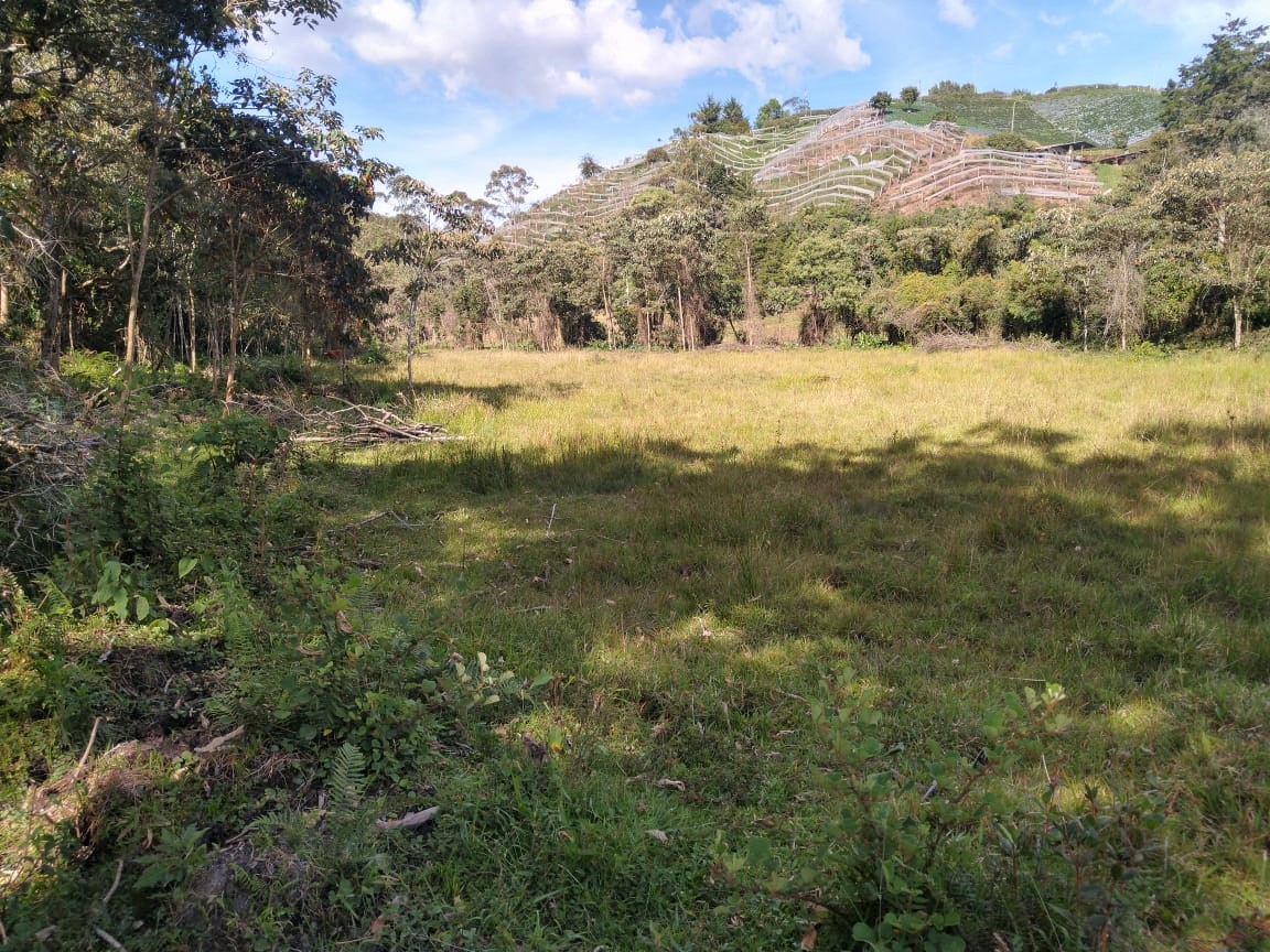 Lote Vereda Pantanillo El Retiro - Imagen 3