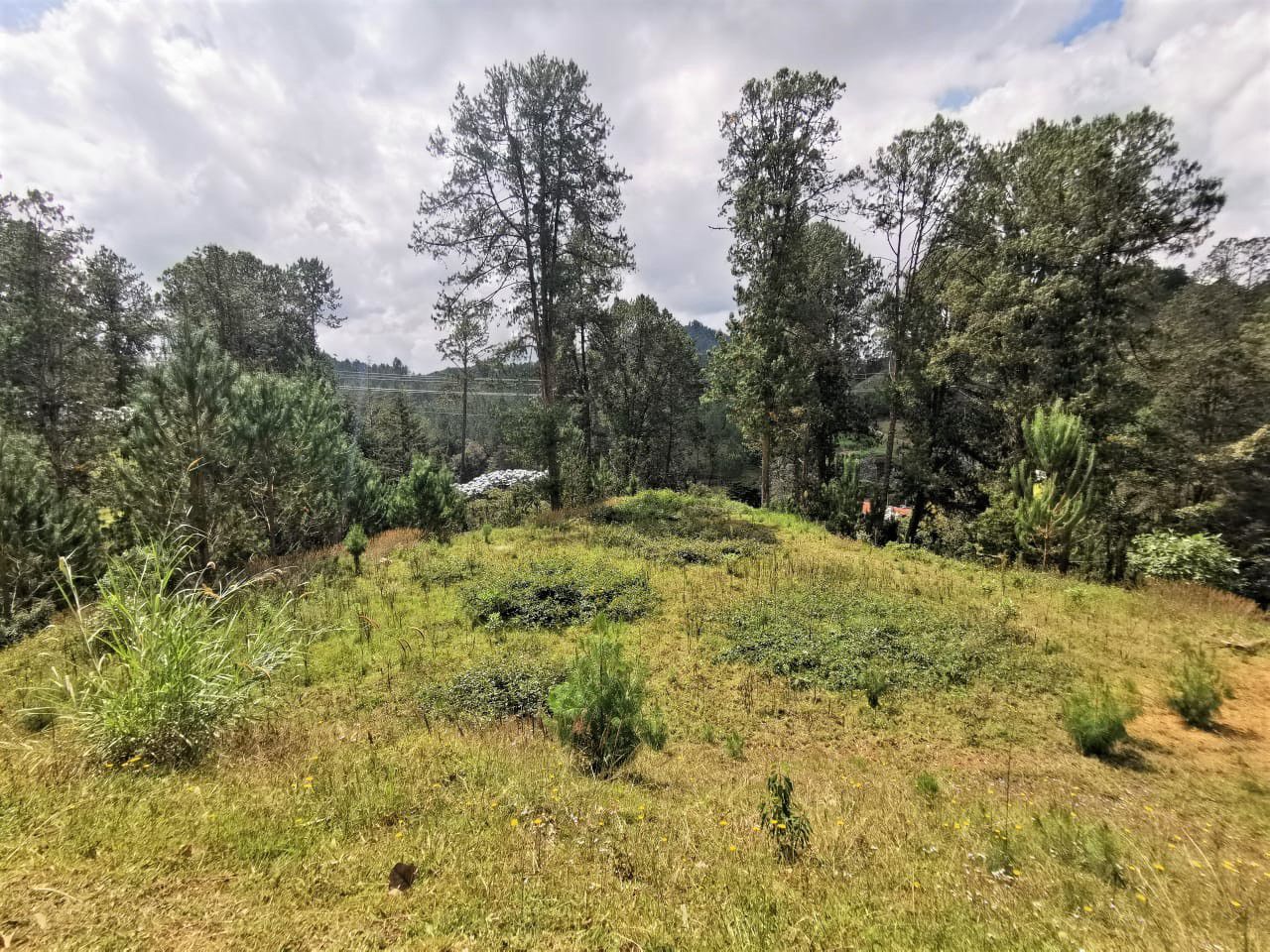 Venta Lote en Parcelación El Retiro - Imagen 3