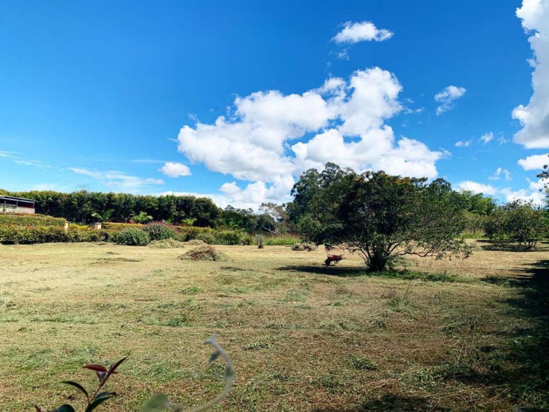 Lote Unidad Cerrada Llanogrande - Imagen 3