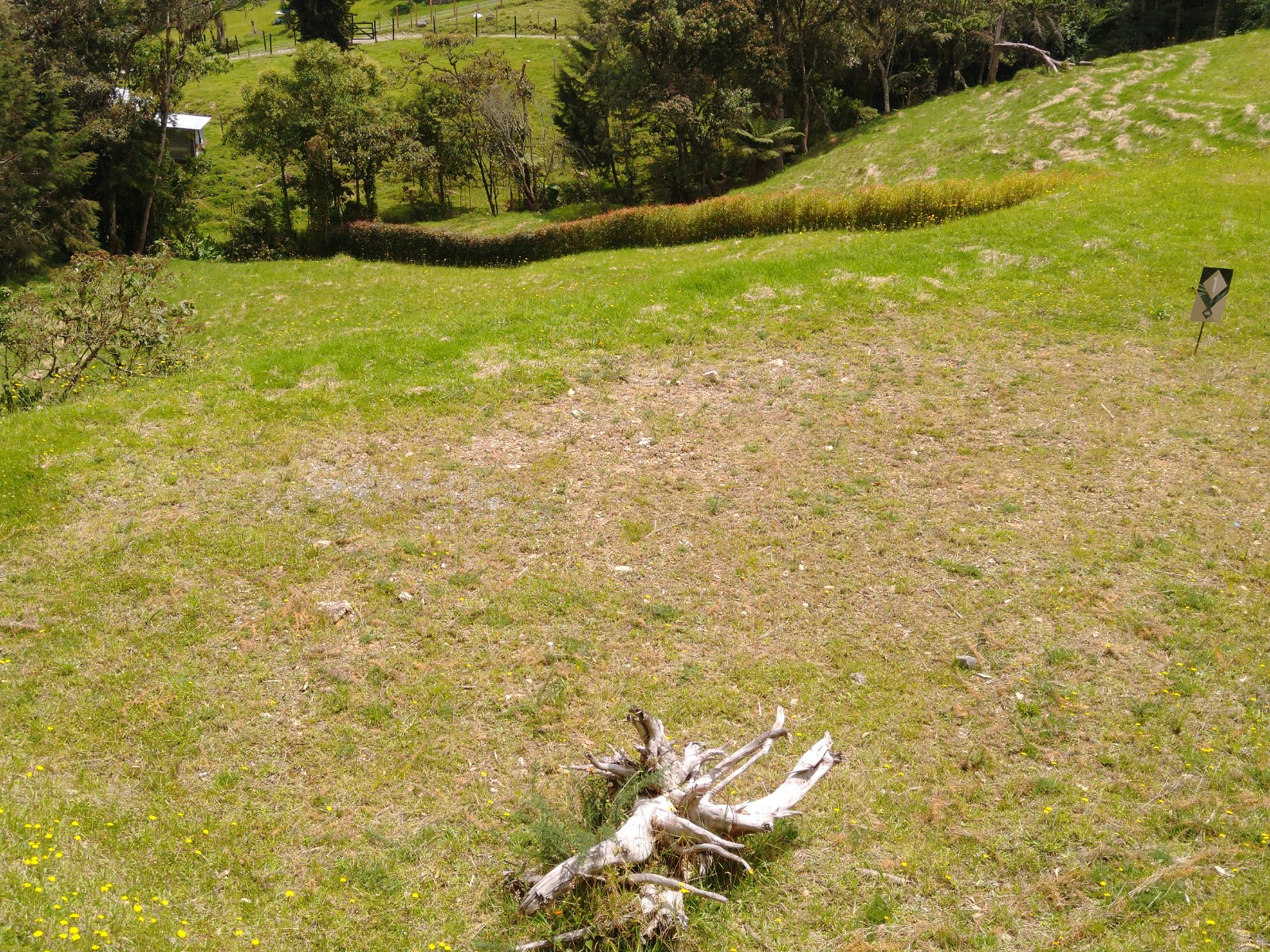 Lote en parcelación Envigado Alto Palmas - Imagen 3