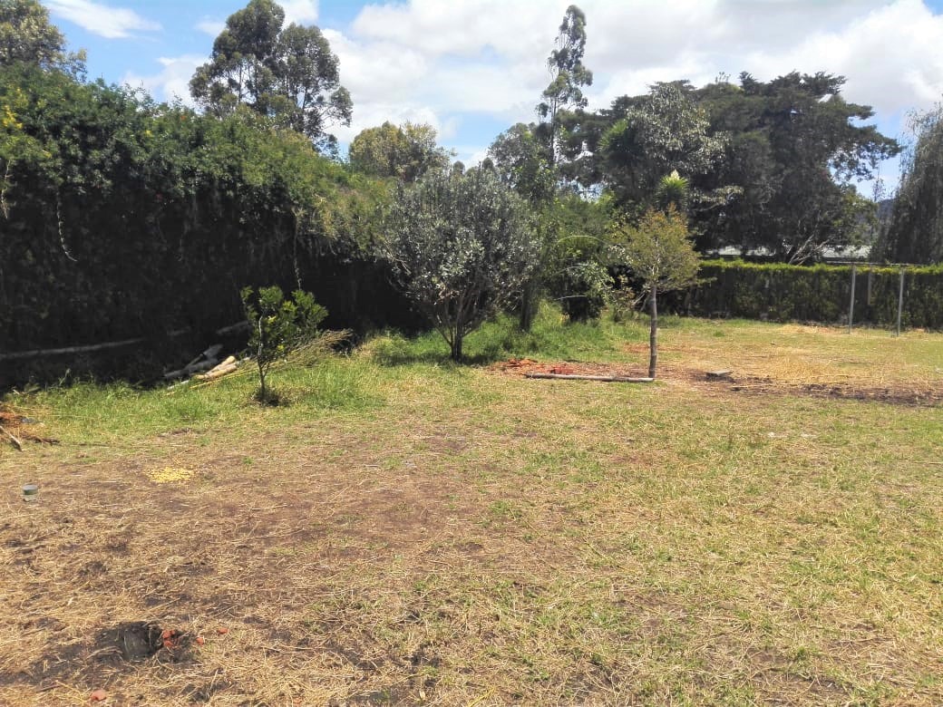 Lote Urbano Sector La Floresta La Ceja - Imagen 3