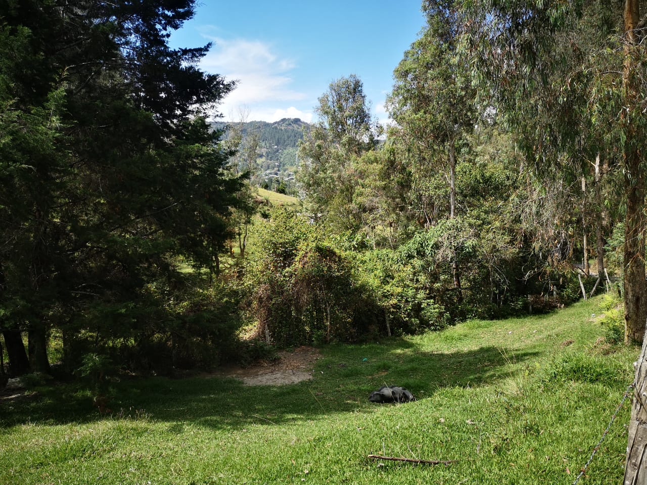 Venta de Lote Independiente en El Retiro - Imagen 3