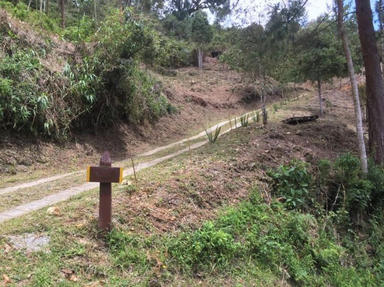 Lote en Unidad Cerrada El Retiro - Imagen 4