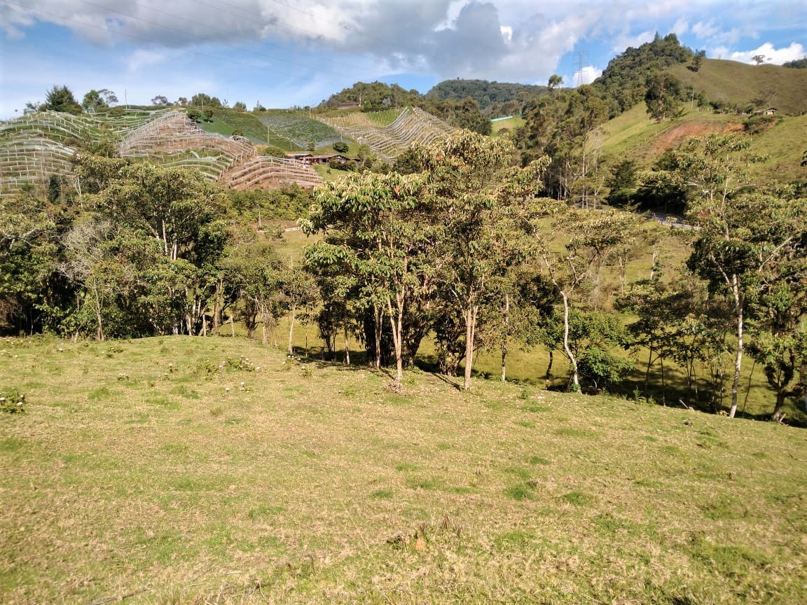 Lote Vereda Pantanillo El Retiro - Imagen 4