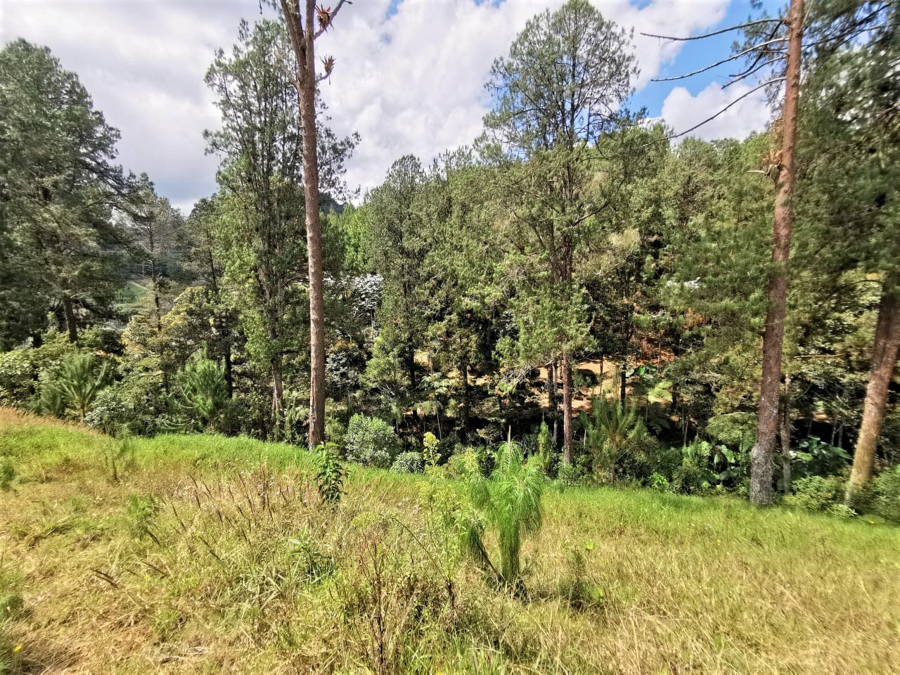 Venta Lote en Parcelación El Retiro - Imagen 4