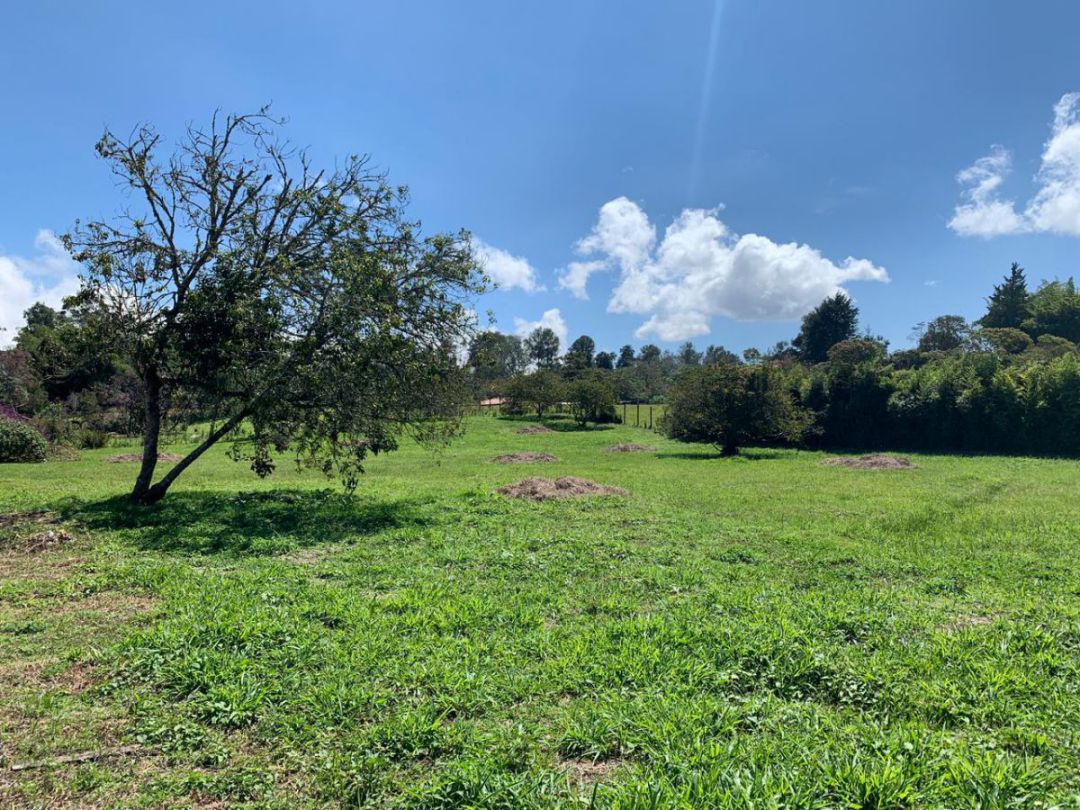 Lote Unidad Cerrada Llanogrande - Imagen 4