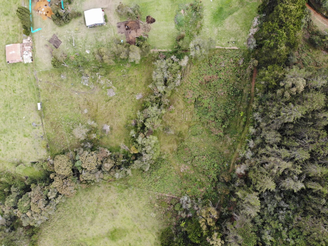 Lote Vereda Pantanillo Envigado - Imagen 4