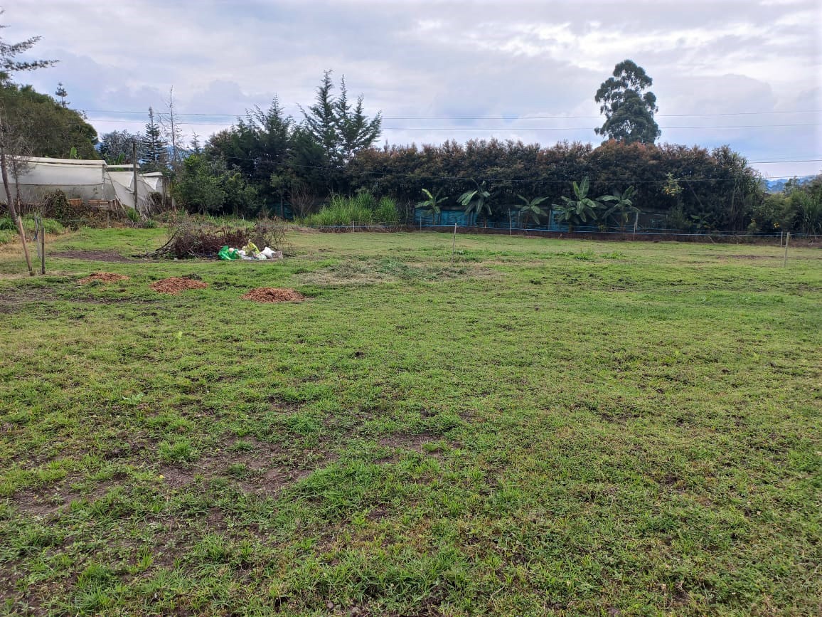 Lotes Independientes en La Ceja - Imagen 4