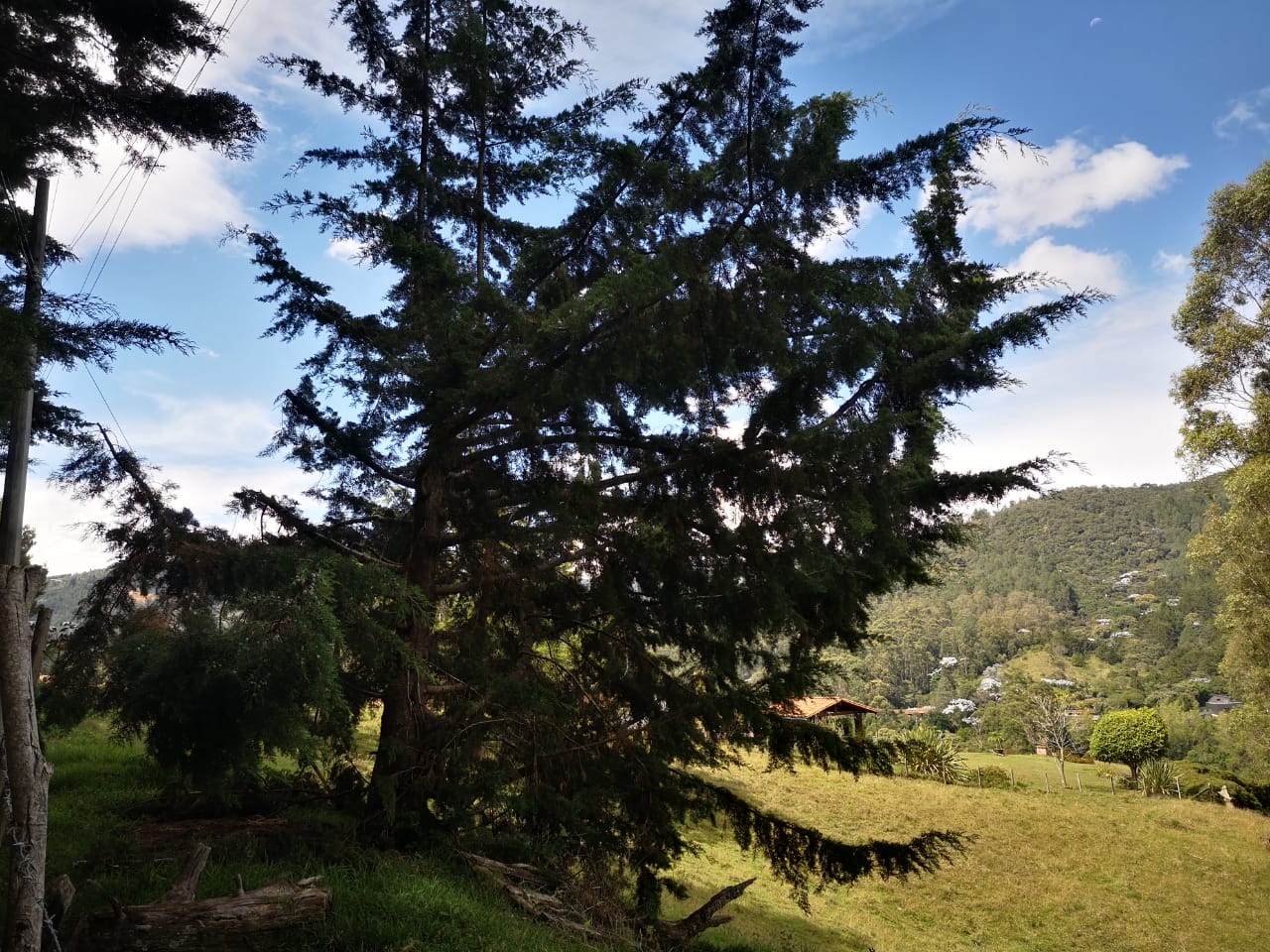 Venta de Lote Independiente en El Retiro - Imagen 4