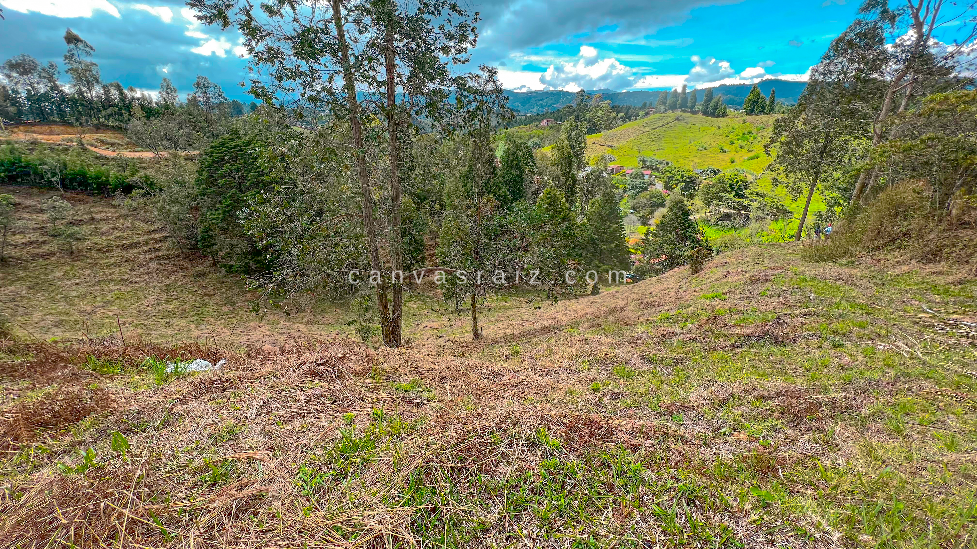 Lote Independiente Vereda La Mosquita - Imagen 4