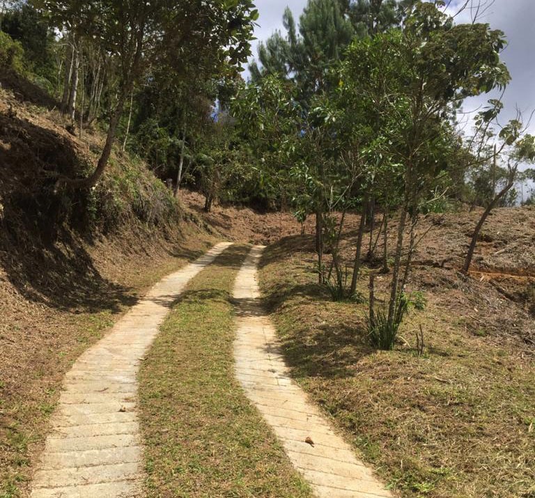 Lote en Unidad Cerrada El Retiro - Imagen 5