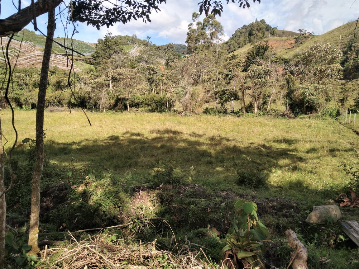 Lote Vereda Pantanillo El Retiro - Imagen 5