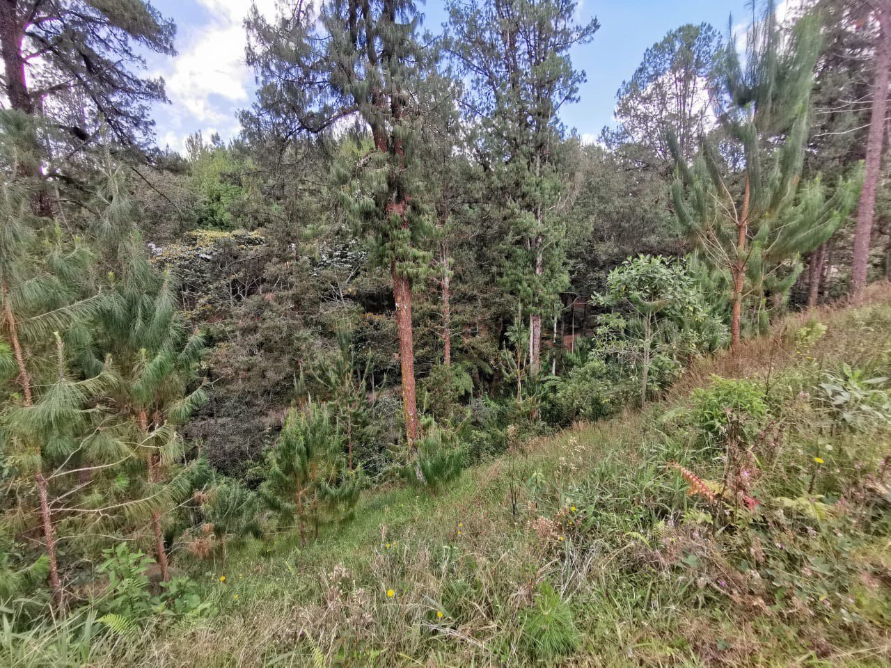 Venta Lote en Parcelación El Retiro - Imagen 5