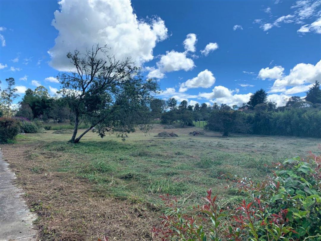 Lote Unidad Cerrada Llanogrande - Imagen 5