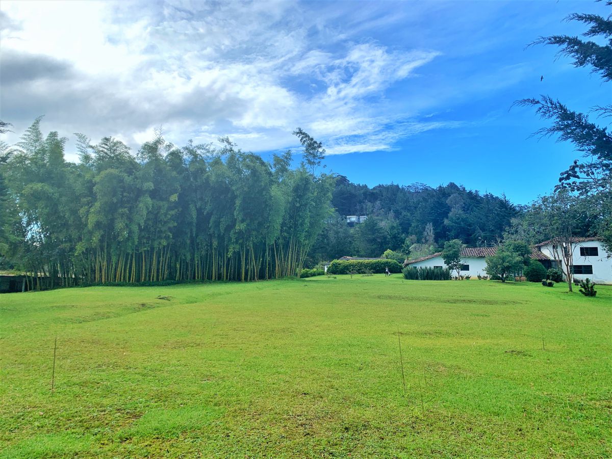 Finca en El Retiro Sector El Chuscal - Imagen 5