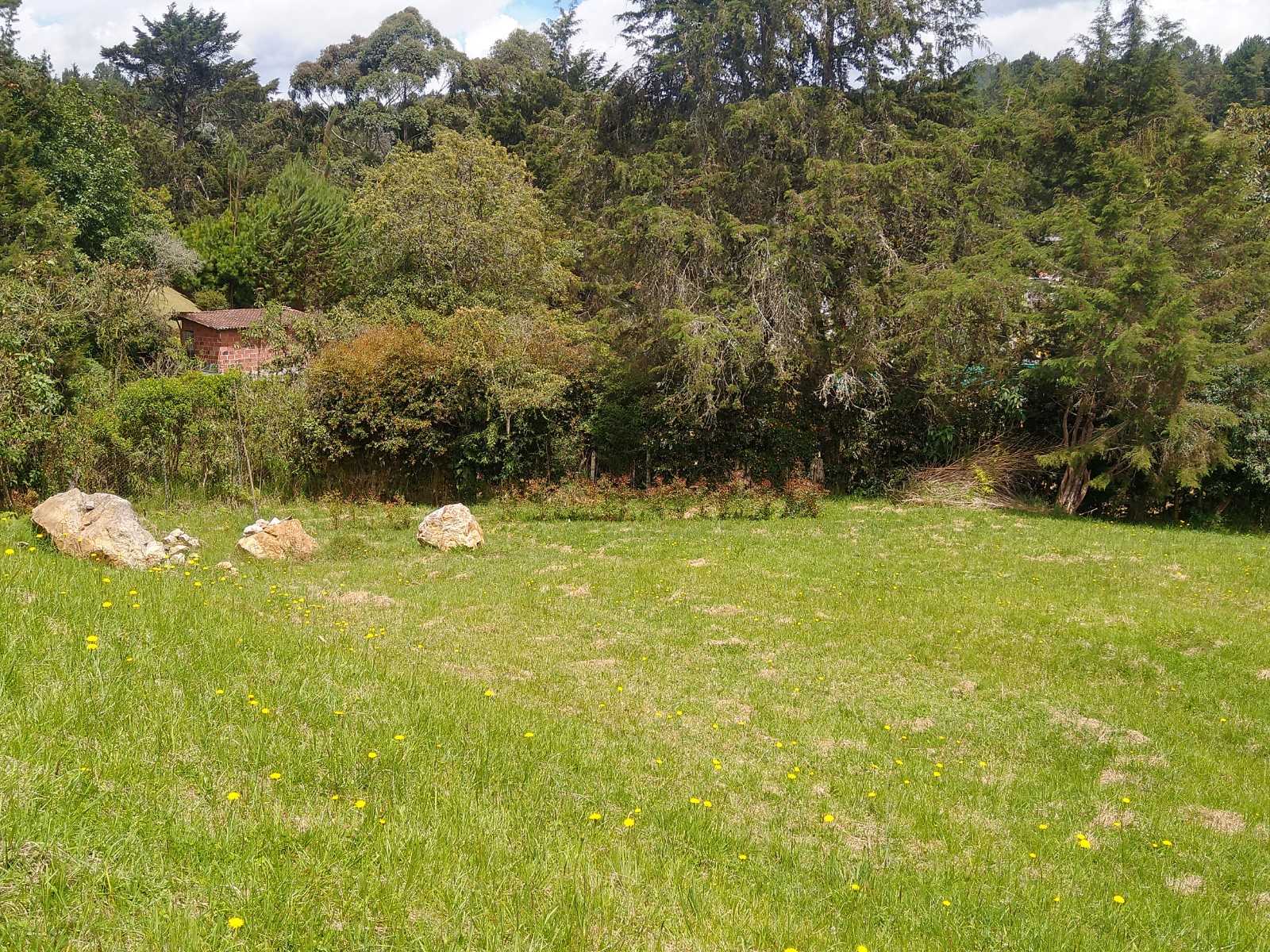 Lote en parcelación Envigado Alto Palmas - Imagen 5