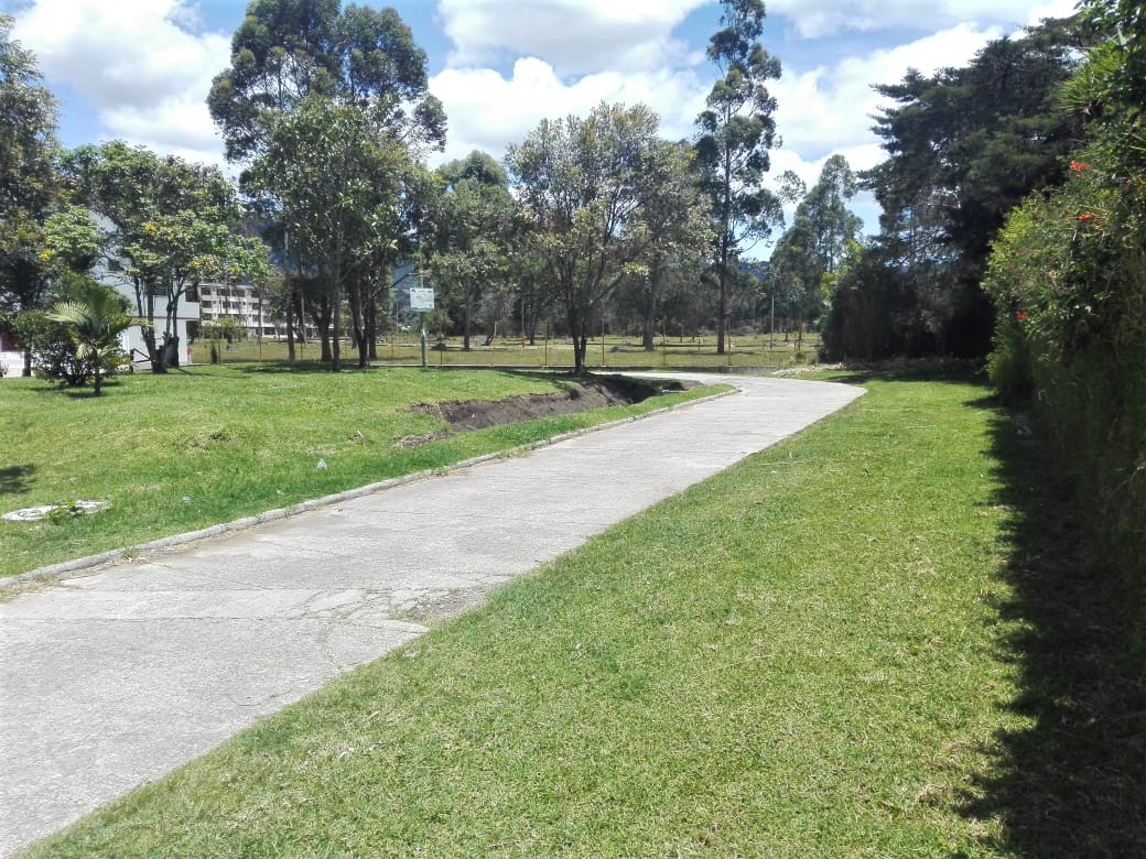 Lote Urbano Sector La Floresta La Ceja - Imagen 5