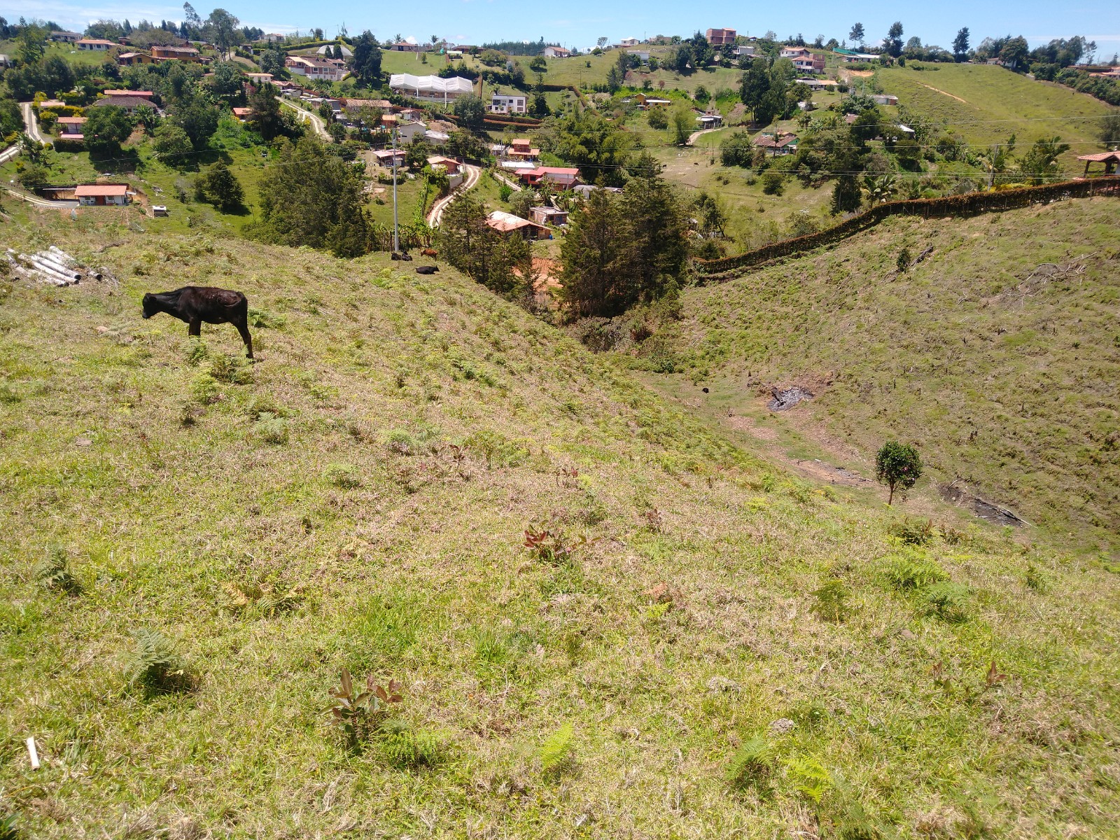 Lote para urbanizar en Rionegro - Imagen 5