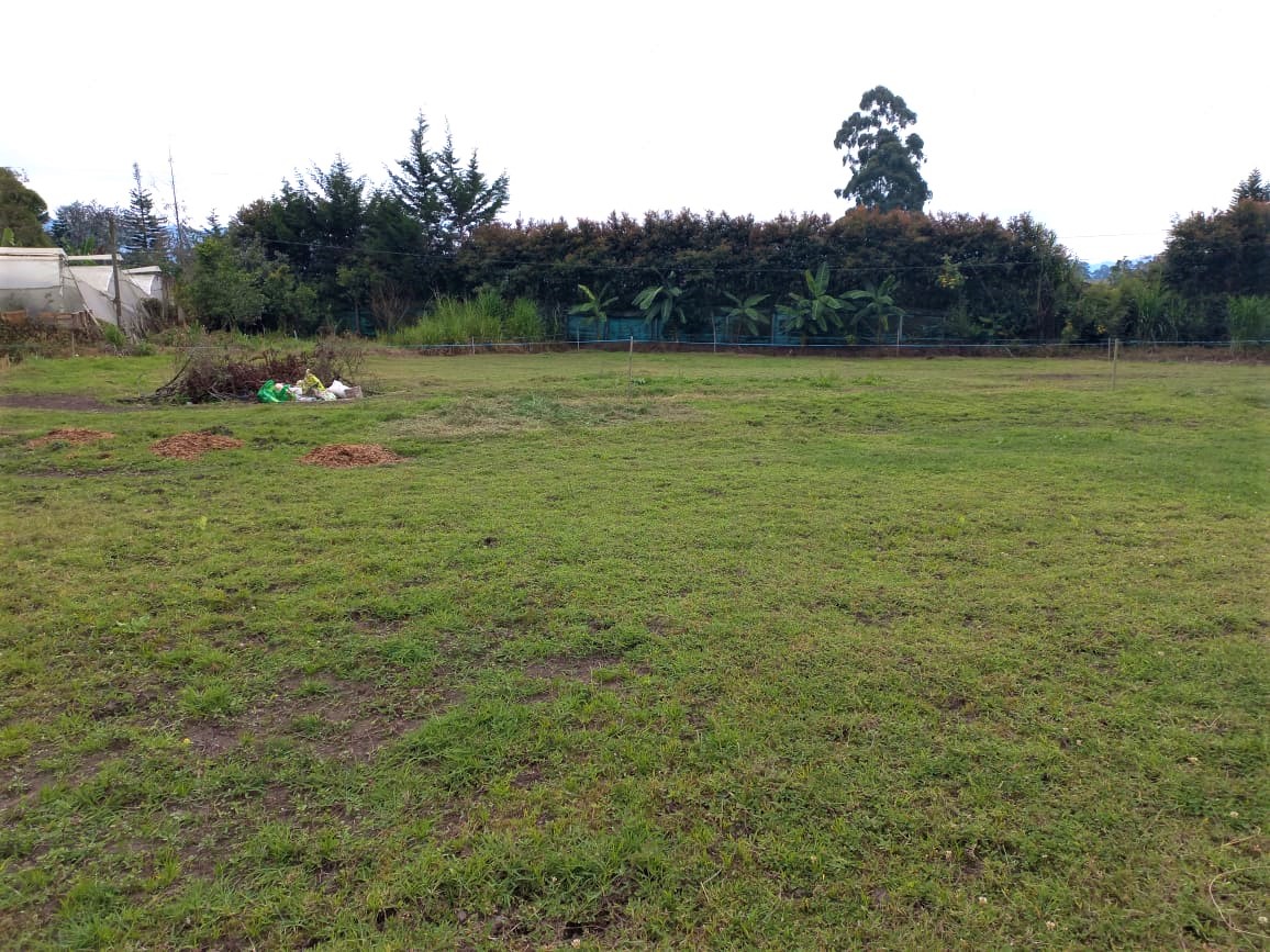 Lotes Independientes en La Ceja - Imagen 5