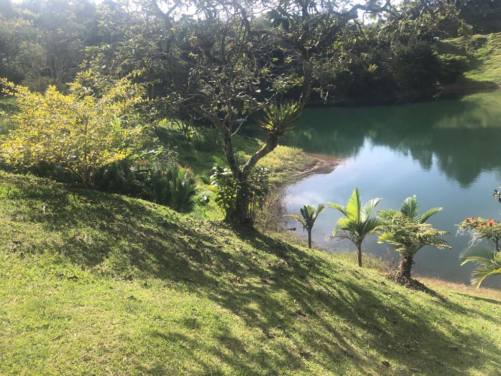 Foto 3 de Finca En El Peñol Vereda Bonilla