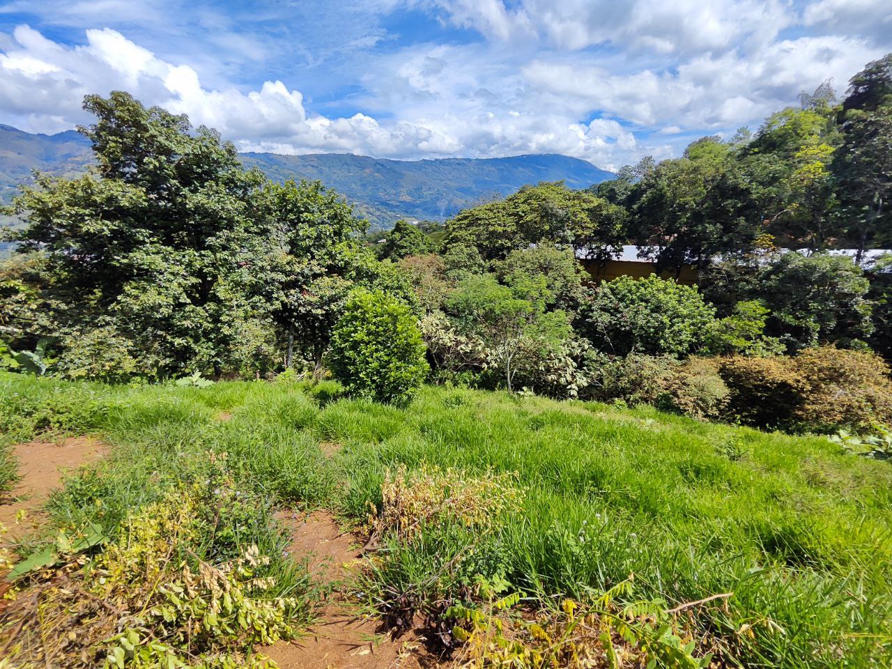 Lote en girardota vereda el totumo