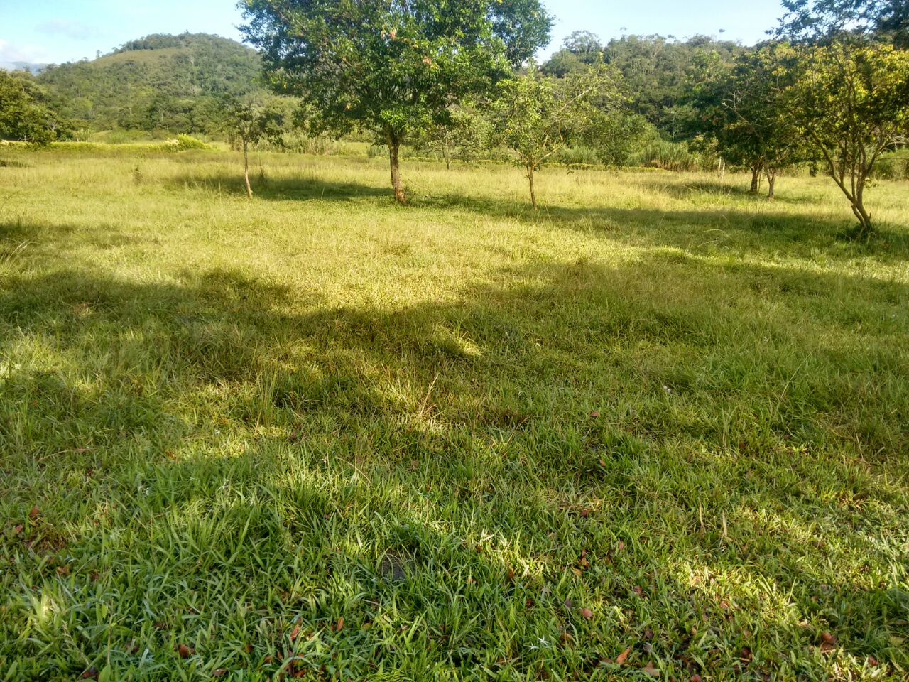 Foto 2 de Lote en venta Porce en unidad cerrada Plano