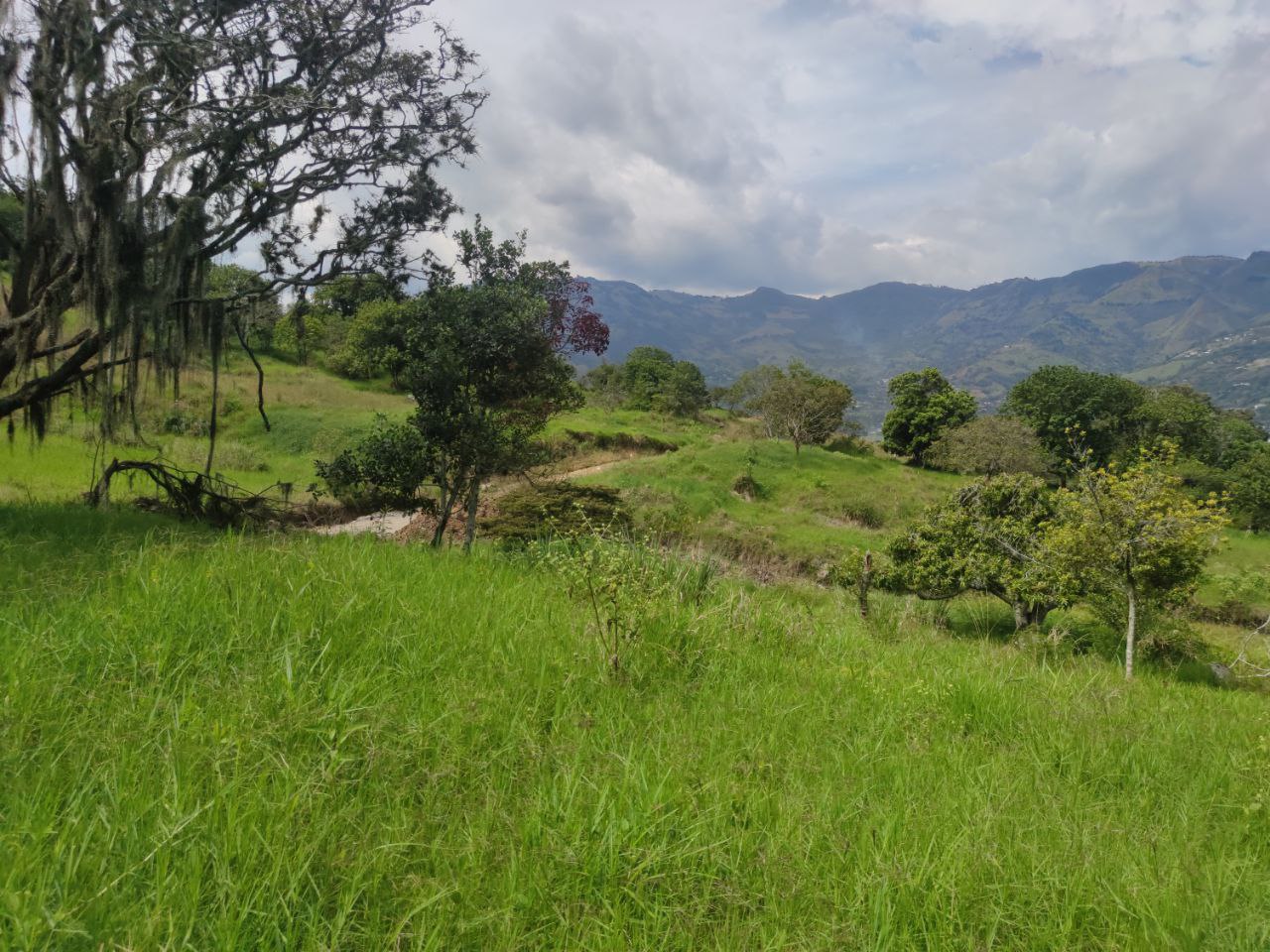 Lote en girardota vereda el totumo