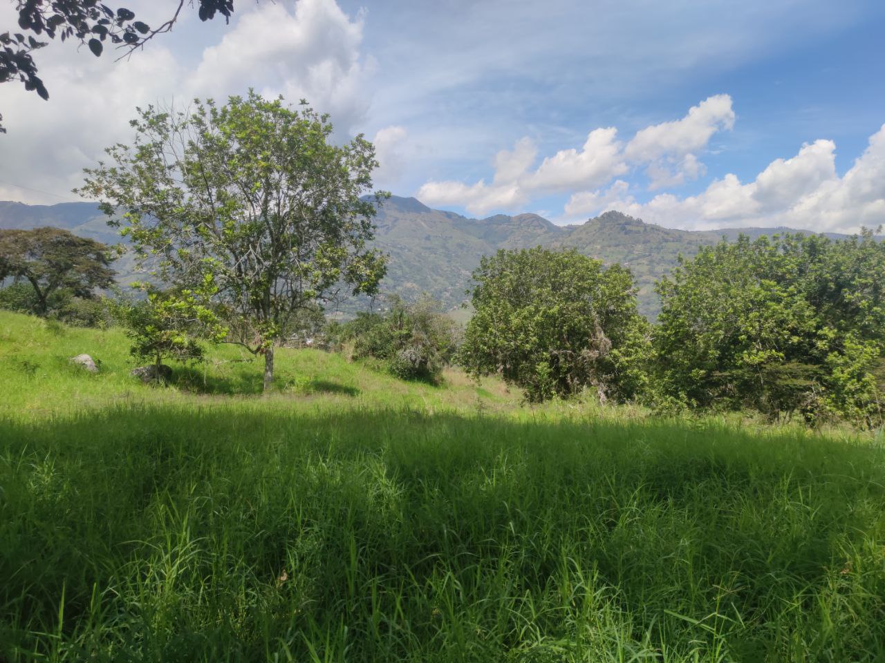 Lote en girardota vereda el totumo