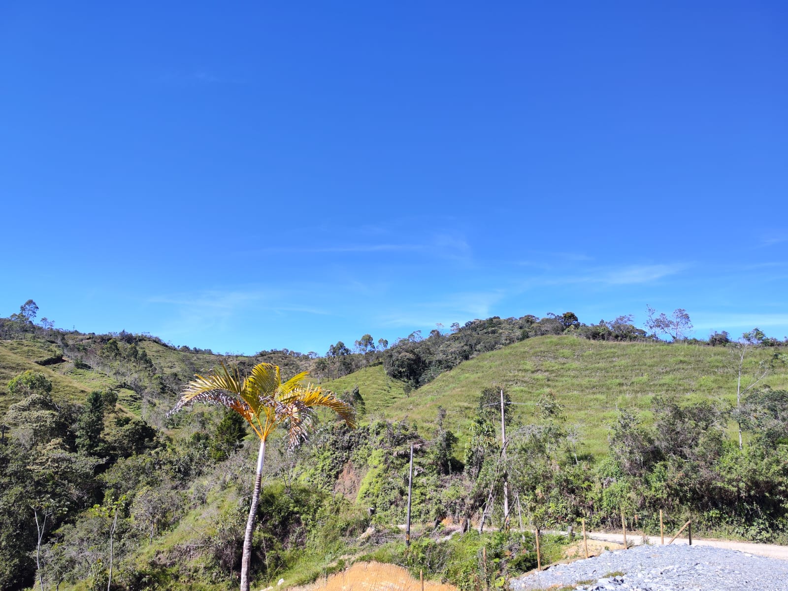 Foto 4 de Lote En Santo Domingo Antioquia