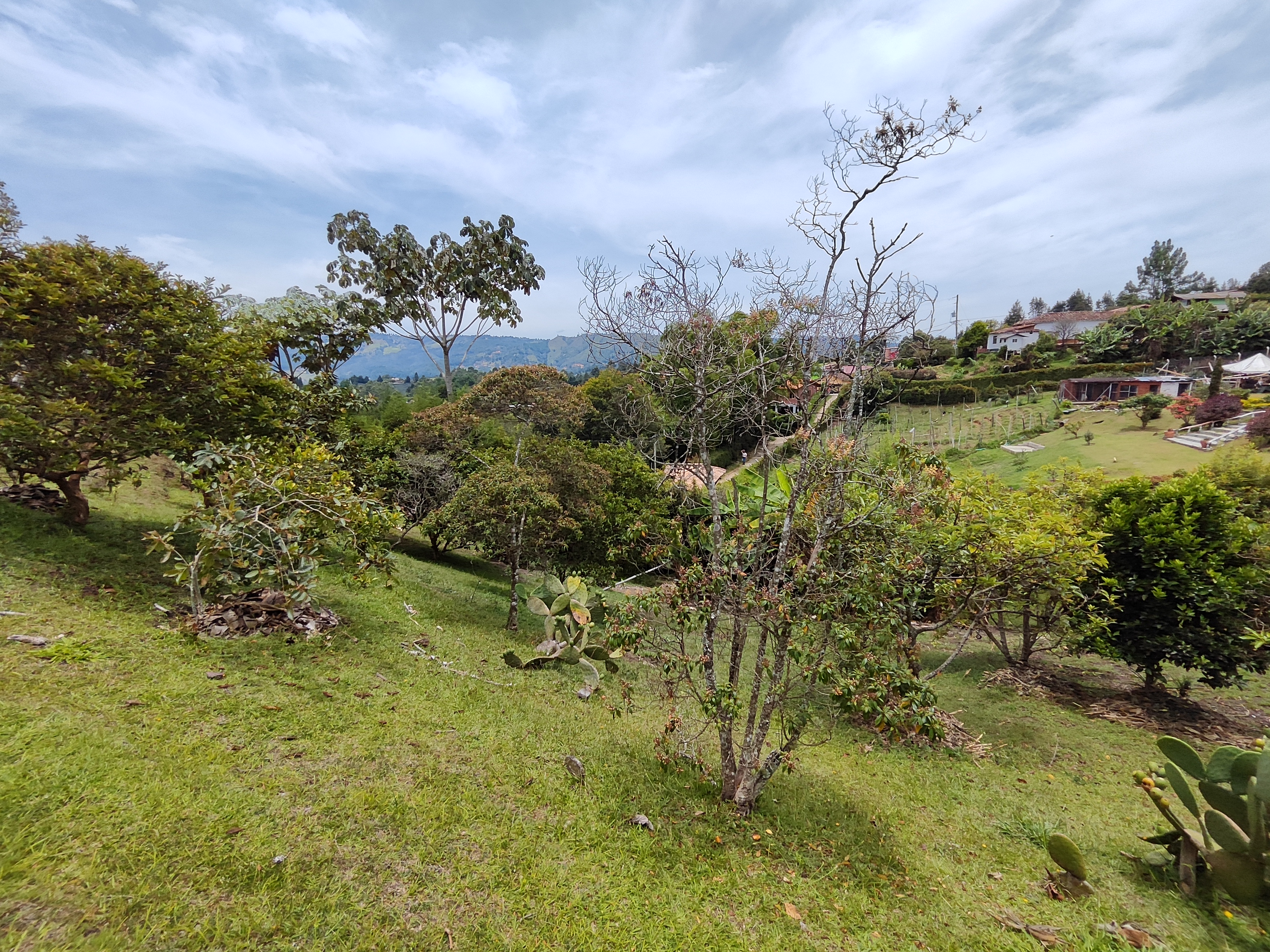 Foto 4 de Lote en Guarne Vereda la clara