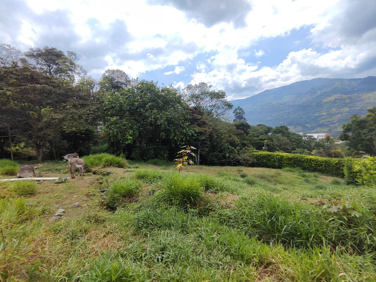 Lote en girardota vereda portachuelo