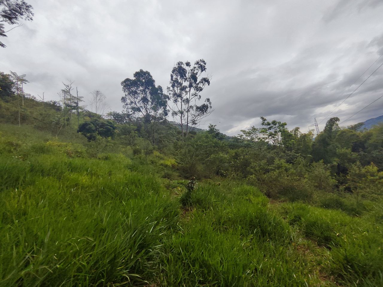 Lote en girardota vereda portachuelo