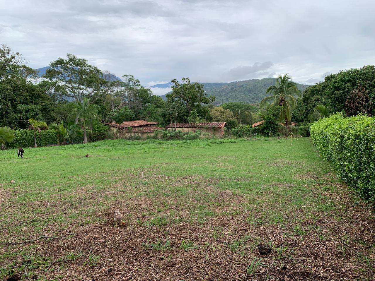 Lote en sopetran sector los molinos