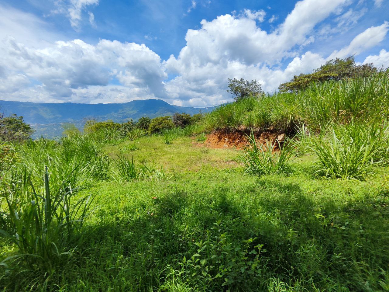 Lote en Zarzal, Copacabana, Antioquia