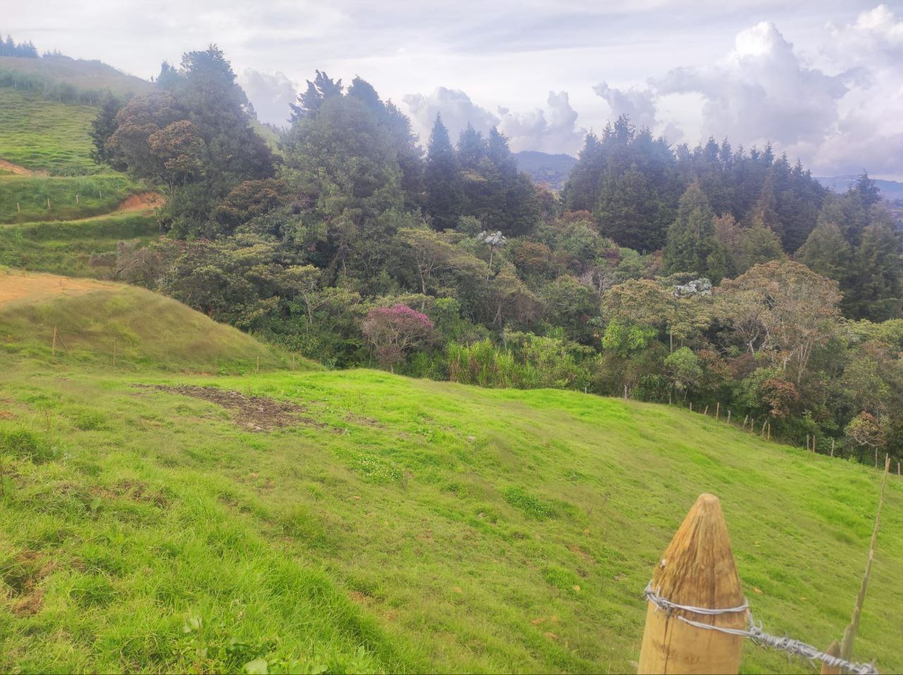 Lote en San Isidro, Guarne, Antioquia