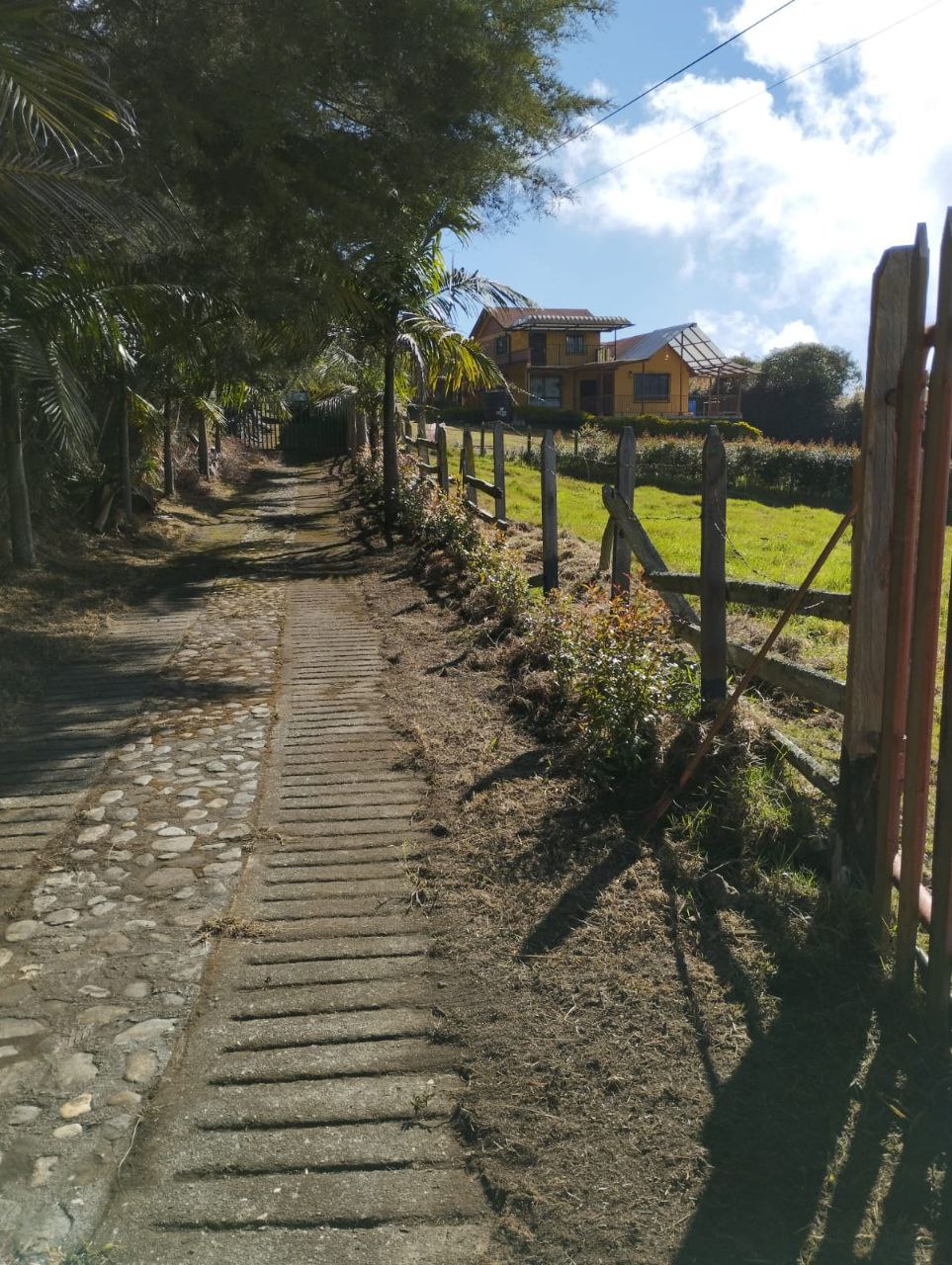 Foto 4 de Finca en san pedro Alta Mixtura